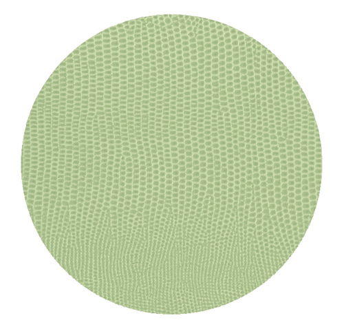 Faux Lizard Moss Green Coaster Round 8 with Felt Back (Set of 8)