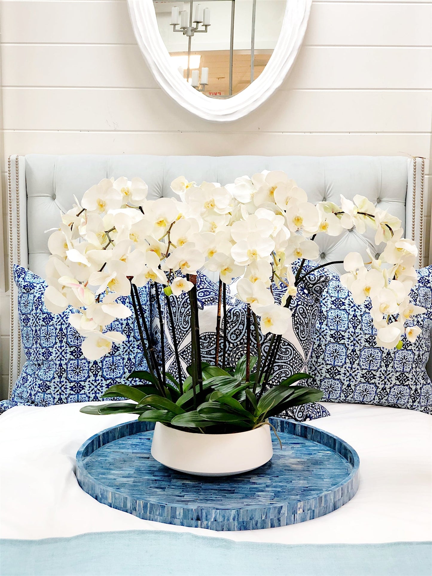 White Orchid Arrangement