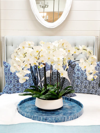 White Orchid Arrangement