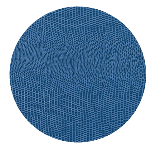 Faux Lizard Navy Coaster Round 8 with Felt Back (Set of 8)